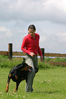 Doberman Pinscher at dog dancing