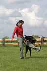 Doberman Pinscher at dog dancing