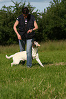 Dogdance