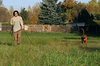 Rhodesian Ridgeback