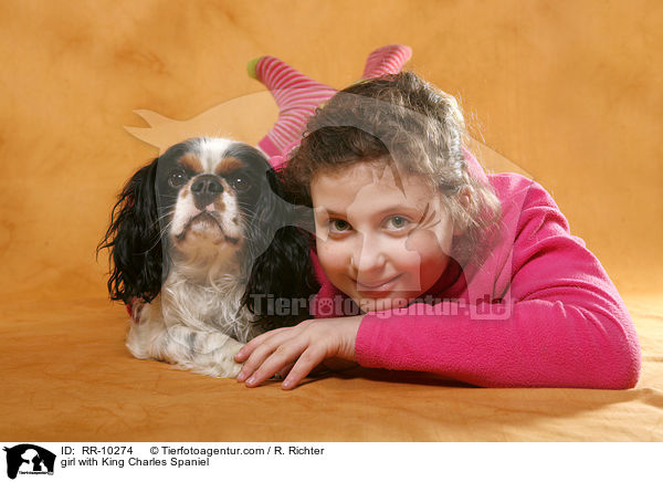 Mdchen mit Cavalier-Mischling / girl with King Charles Spaniel / RR-10274