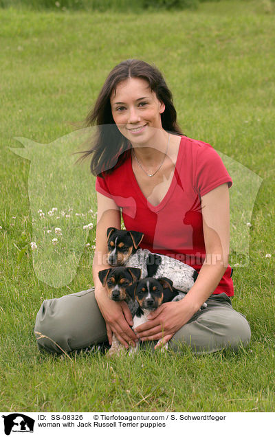junge Frau mit Jack Russell Terrier Welpen / woman with Jack Russell Terrier puppies / SS-08326