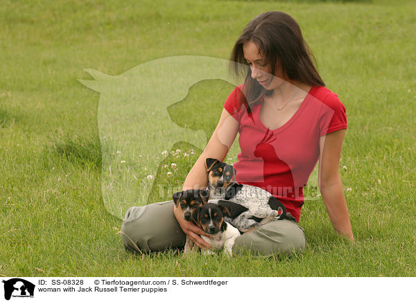 junge Frau mit Jack Russell Terrier Welpen / woman with Jack Russell Terrier puppies / SS-08328