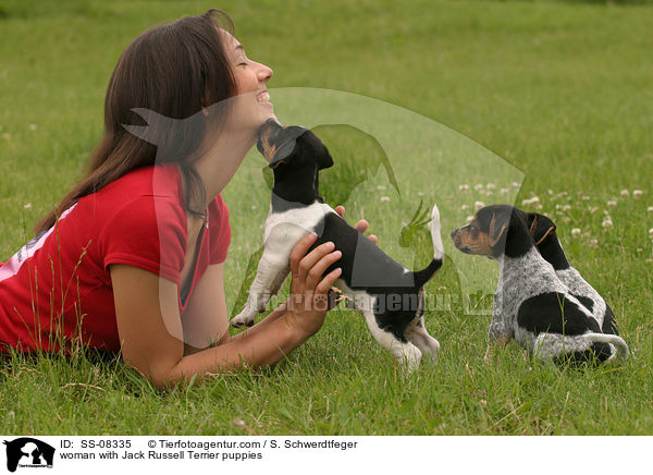 junge Frau mit Jack Russell Terrier Welpen / woman with Jack Russell Terrier puppies / SS-08335