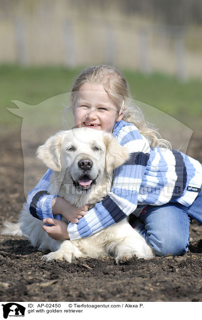 Mdchen mit Golden Retriever / girl with golden retriever / AP-02450