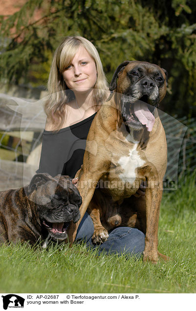 junge Frau mit Boxer / young woman with Boxer / AP-02687