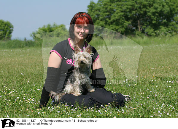 Frau mit Yorkshire-Terrier-Mischling / woman with small Mongrel / SS-14827