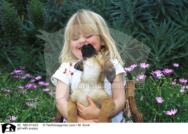 girl with puppy / MS-01423