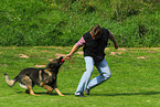 man playing with dog
