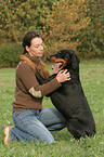 woman is fondling Doberman Pinscher