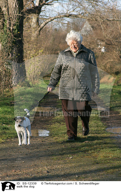 walk the dog / SS-12339