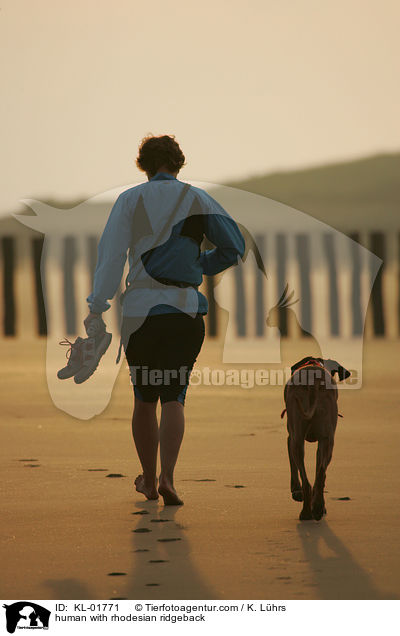 Mensch und Rhodesian Ridgeback / human with rhodesian ridgeback / KL-01771