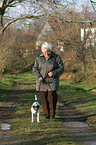 walk the dog