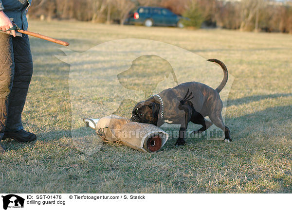 drilling guard dog / SST-01478