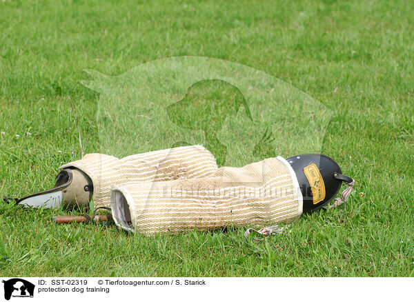 protection dog training / SST-02319