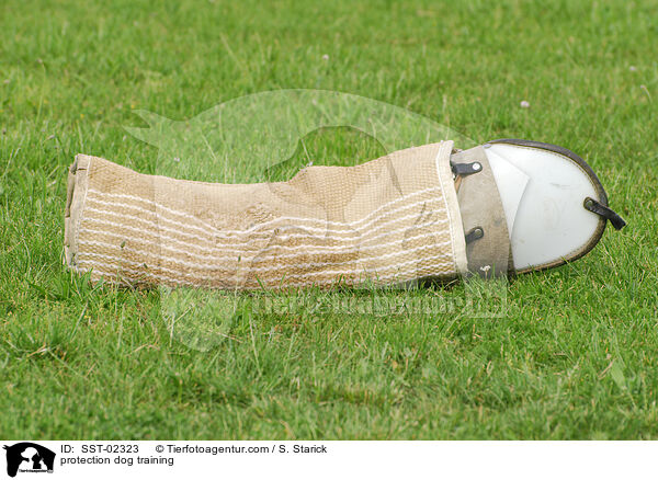 Schutzhundeausbildung / protection dog training / SST-02323