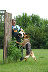 training protection dog
