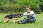 training protection dog