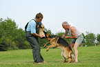 training protection dog