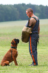 guard dog education