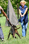 guard dog education