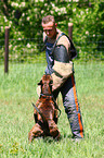 guard dog education