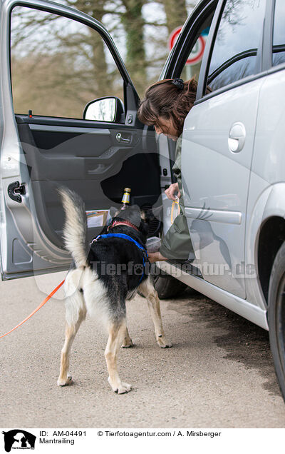 Personensuche / Mantrailing / AM-04491