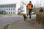 Mantrailing