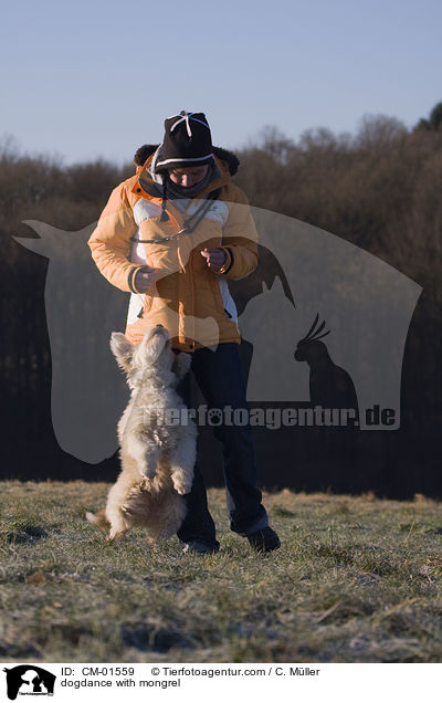 Dogdance mit Tibet-Terrier-Sheltie-Mischling / dogdance with mongrel / CM-01559