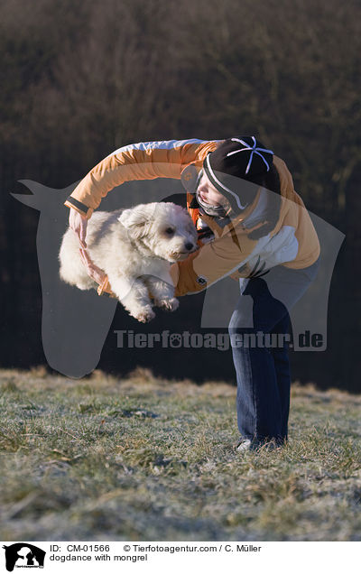 Dogdance mit Tibet-Terrier-Sheltie-Mischling / dogdance with mongrel / CM-01566