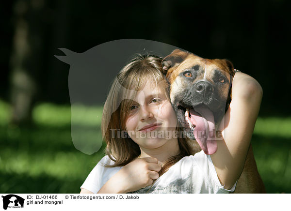 Mdchen und Boxer-Mix / girl and mongrel / DJ-01466