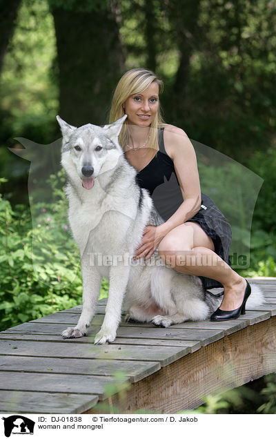 Frau und Schferhund-Mischling / woman and mongrel / DJ-01838