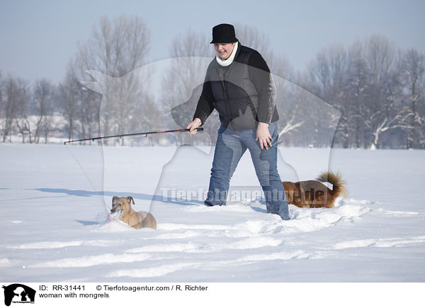 woman with mongrels / RR-31441