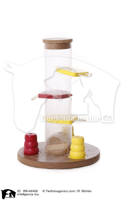 Intelligenzspielzeug / intelligence toy / RR-48488