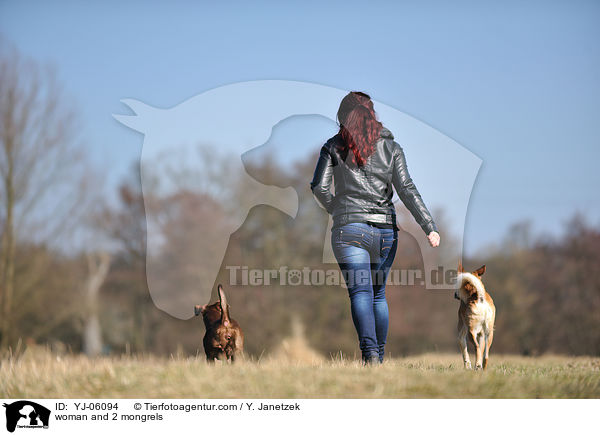 Frau und 2 Mischlinge / woman and 2 mongrels / YJ-06094