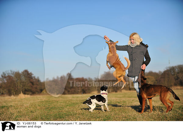 woman and dogs / YJ-06153