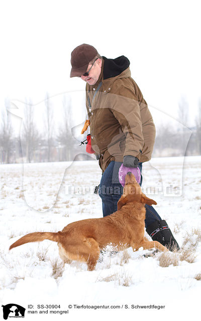 Mann und Golden-Retriever-Terrier-Mix / man and mongrel / SS-30904