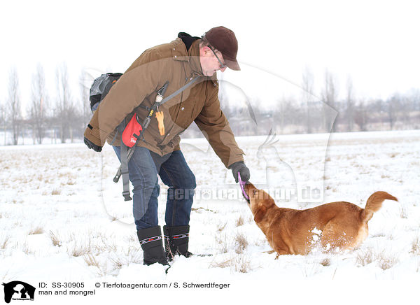 Mann und Golden-Retriever-Terrier-Mix / man and mongrel / SS-30905