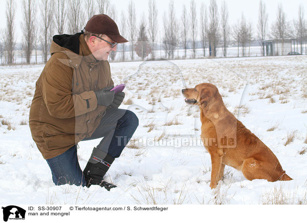 Mann und Golden-Retriever-Terrier-Mix / man and mongrel / SS-30907