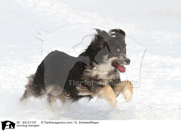 running mongrel / SS-31107