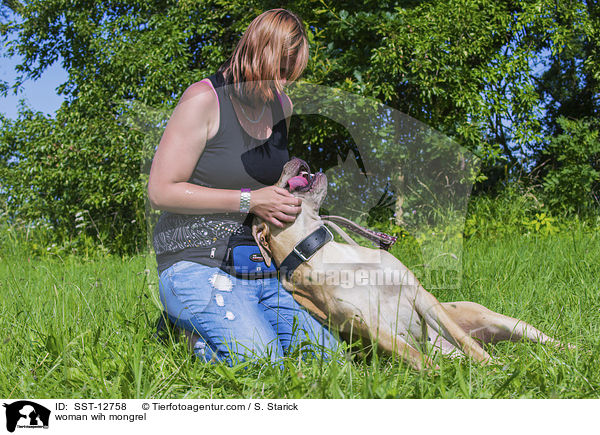 Frau mit Deutsche-Dogge-American-Staffordshire-Terrier-Mix / woman wih mongrel / SST-12758