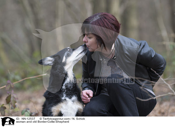 Frau und alter Border-Collie-Schferhund / woman and old Border-Collie-Shepherd / NN-12537