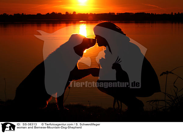 Frau und Berner-Sennenhund-Schferhund / woman and Bernese-Mountain-Dog-Shepherd / SS-38313