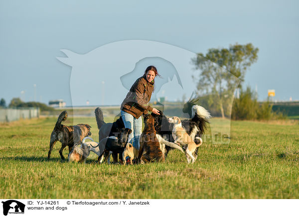 Frau und Hunde / woman and dogs / YJ-14261