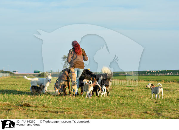 Frau und Hunde / woman and dogs / YJ-14266