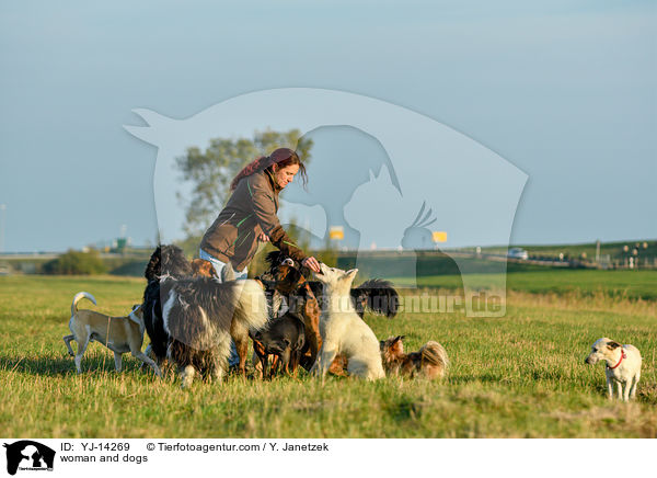 Frau und Hunde / woman and dogs / YJ-14269