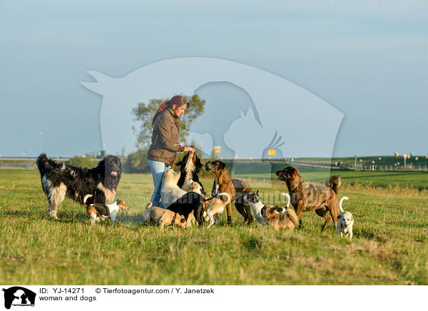 Frau und Hunde / woman and dogs / YJ-14271