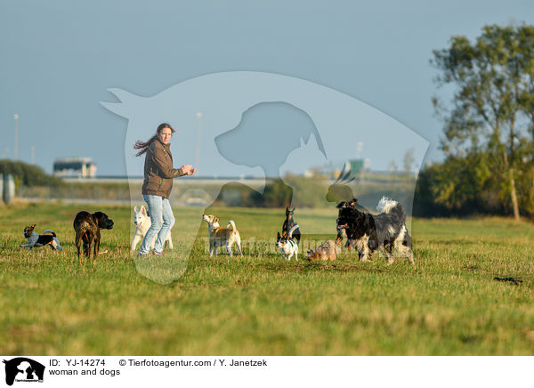 Frau und Hunde / woman and dogs / YJ-14274