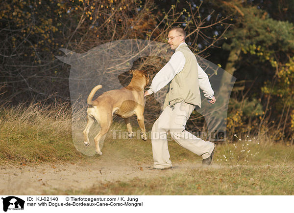 Mann mit Bordeauxdogge-Cane-Corso-Mischling / man with Dogue-de-Bordeaux-Cane-Corso-Mongrel / KJ-02140