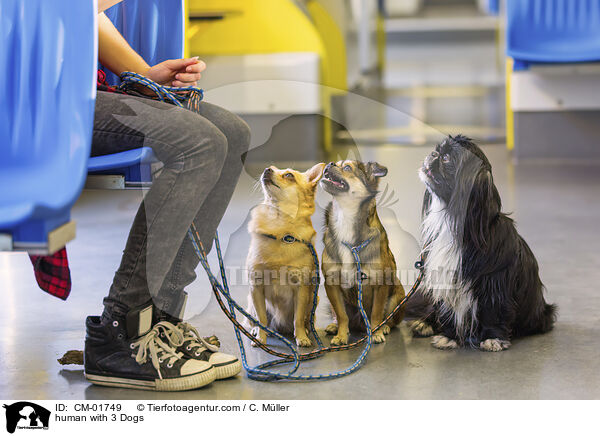 Mensch mit 3 Hunden / human with 3 Dogs / CM-01749
